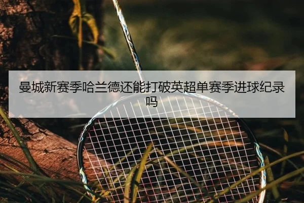 曼城新赛季哈兰德还能打破英超单赛季进球纪录吗